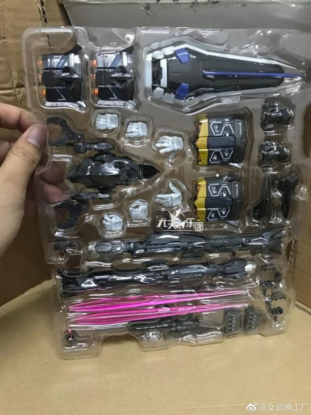 Valkyrie Factory MB 1/100 Gundam Seed Astray Blue Frame - Image 4